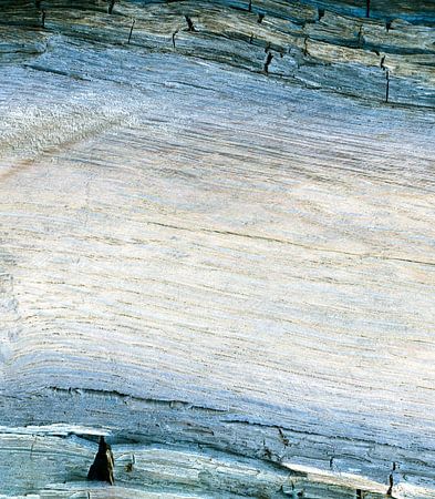 Uraltes Treibholz mit verwitterter Baumrinde, Mooreiche, Holzstruktur von Susanne Kanamüller