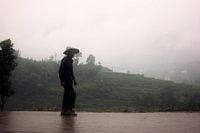 Silhouet van Chinese boer