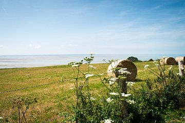 Het landschap langs de kust van Granville