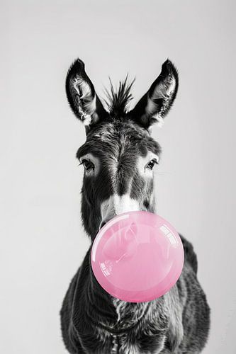 Ezel blaast een grote roze kauwgom tegen een witte achtergrond