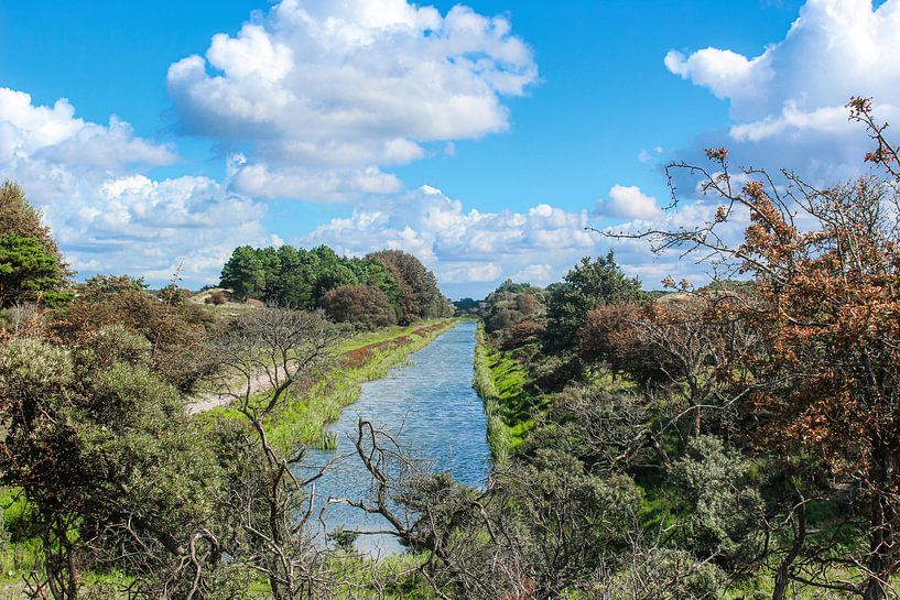 Amsterdam Wasserversorgung Dünen von Linda Herfs