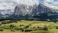 The Alpe di Siusi with Sassolungo, Sassopiatto and Sella