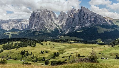 De Alpe di Siusi met Sassolungo, Sassopiatto en Sella