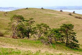 Malerisches Rügen von Thomas Jäger