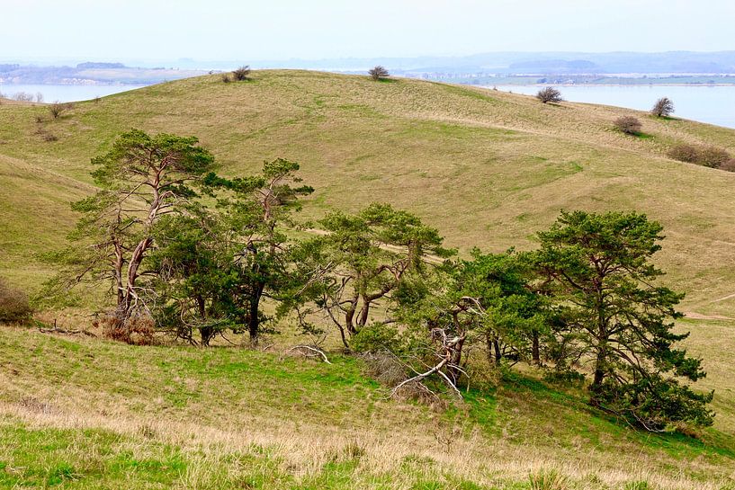 Malerisches Rügen von Thomas Jäger