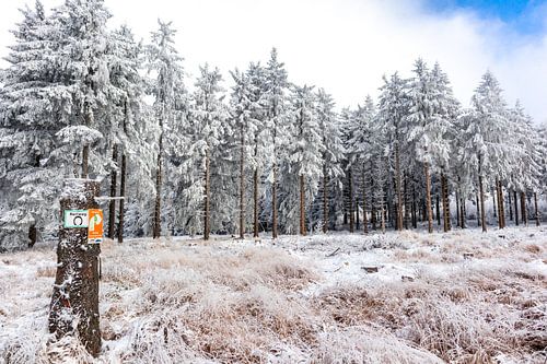 Beau paysage hivernal sur les hauteurs de la forêt de Thuringe