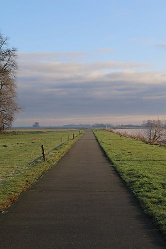 Cycle path along the Hunte