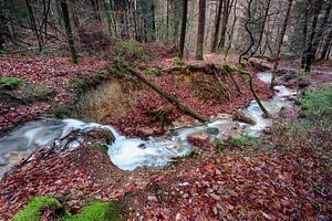 Bergbeek in de Ardennen van Rob Boon