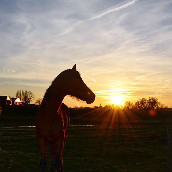 sunset par Ronald en Ancil Fotografie