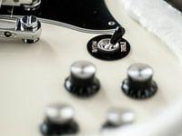 Detail Gibsons SG