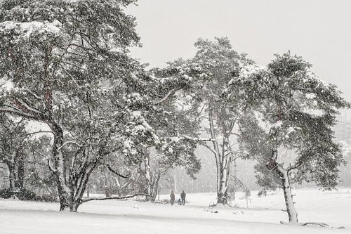 Genieten van het sneeuwlandschap van Moetwil en van Dijk - Fotografie