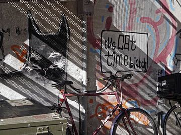 Grafittimuur van een kat met een fiets van Atelier Liesjes