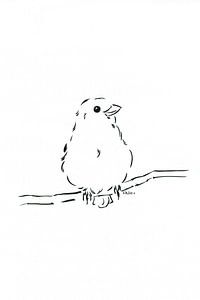 Portrait d'oiseau minimaliste