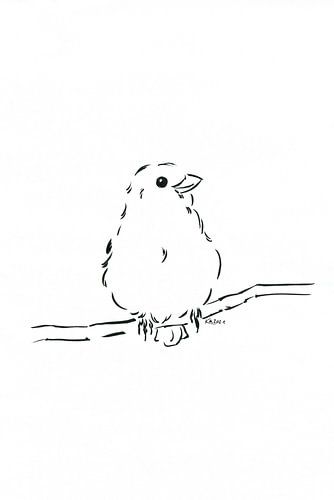 Minimalistisch vogelportret