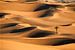 Palmier solitaire dans les dunes de sable. Le désert du Sahara. sur Frans Lemmens