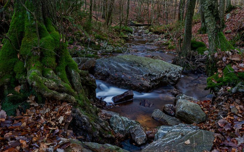 La Statte by Mike Broers