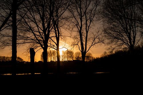 Zonsondergang in het park
