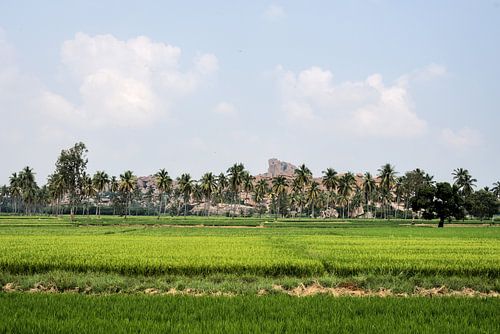 The granite giants watching over the rice fields of Anegundi