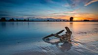 On the bank of the river Lek by Cor Bak thumbnail