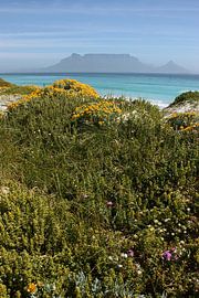 southafrica ... table mountain 02 by Meleah Fotografie