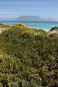 southafrica ... table mountain 02 van Meleah Fotografie