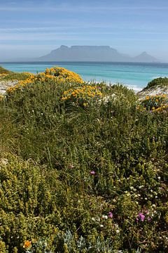 southafrica ... table mountain 02 by Meleah Fotografie