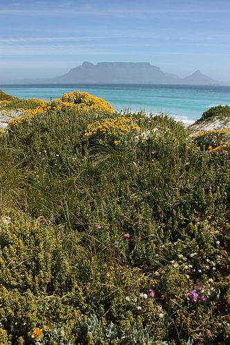 southafrica ... table mountain 02 sur Meleah Fotografie