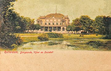Oude ingekleurde foto op ansichtkaart van de dierentuin in  Rotterdam van Patricia Hofmeester