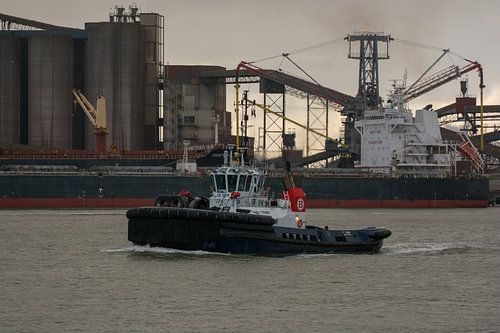 Sleepboot onderweg in de Europoort na een sleep.