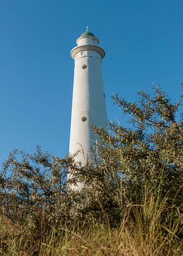 Schiermonnikoog - La tour blanche