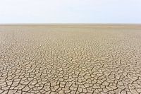 Low tide on the mudflats