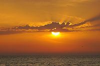 Zonsondergang Texel