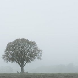 Einsamkeit im Nebel von Stef Kuipers
