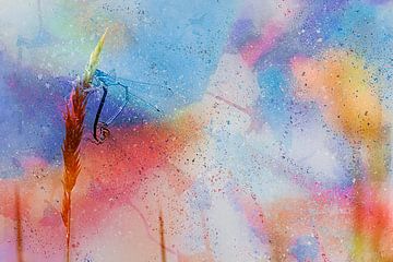 Libelle kleurrijk abstract van Jos Jochem