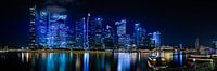 Singapore Skyline van Thomas Froemmel thumbnail