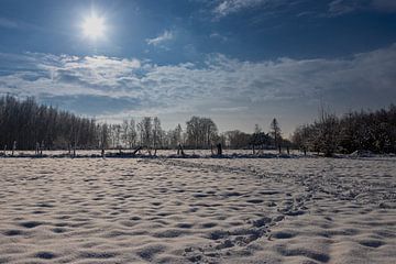 Magnifique paysage de neige avec des arbres enneigés sous un ciel bleu vif sur Kim Willems