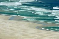 southafrica ... de strandloper von Meleah Fotografie Miniaturansicht