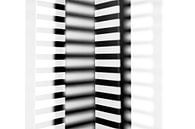 Grafische Streifen in Schwarz und Weiß mit Tropfen von Lisette Rijkers Miniaturansicht