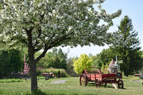 Le parc des pionniers au printemps