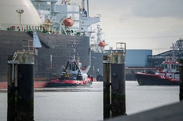 LNG-Tanker Marvel Pelican mit Schleppern von Jan Georg Meijer