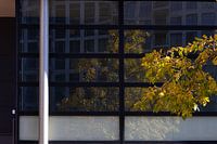 Weerspiegeling boom in herfstkleuren