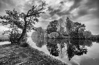 Des arbres au bord de l'eau avec des reflets en noir et blanc par R Smallenbroek Aperçu