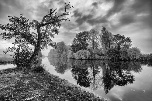 Bomen langs de waterkant met reflectie in zwart-wit