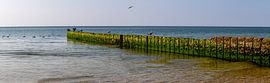 Stage with seagulls at the beach near Kampen by Alexander Wolff