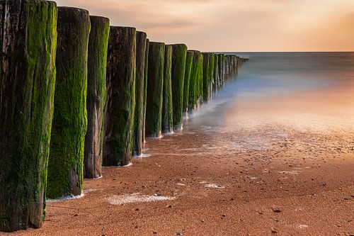 Wellenbrecher am Strand Burgh Haamstede