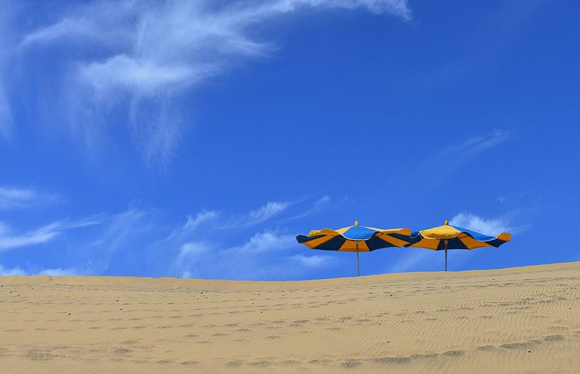 Gran Canaria dune landscape by appie bonis