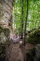 In der Eifel