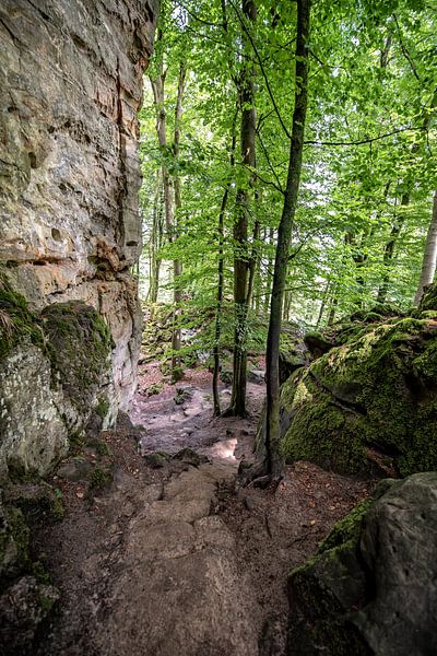 In der Eifel von Thomas Riess