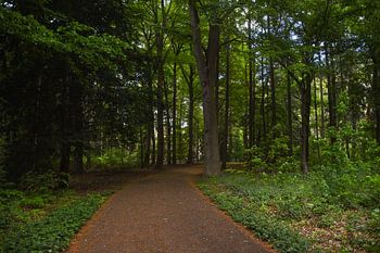 Ein geheimnisvoller Weg führt zu...?