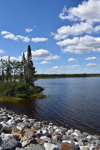 De Rapport River in de zomer